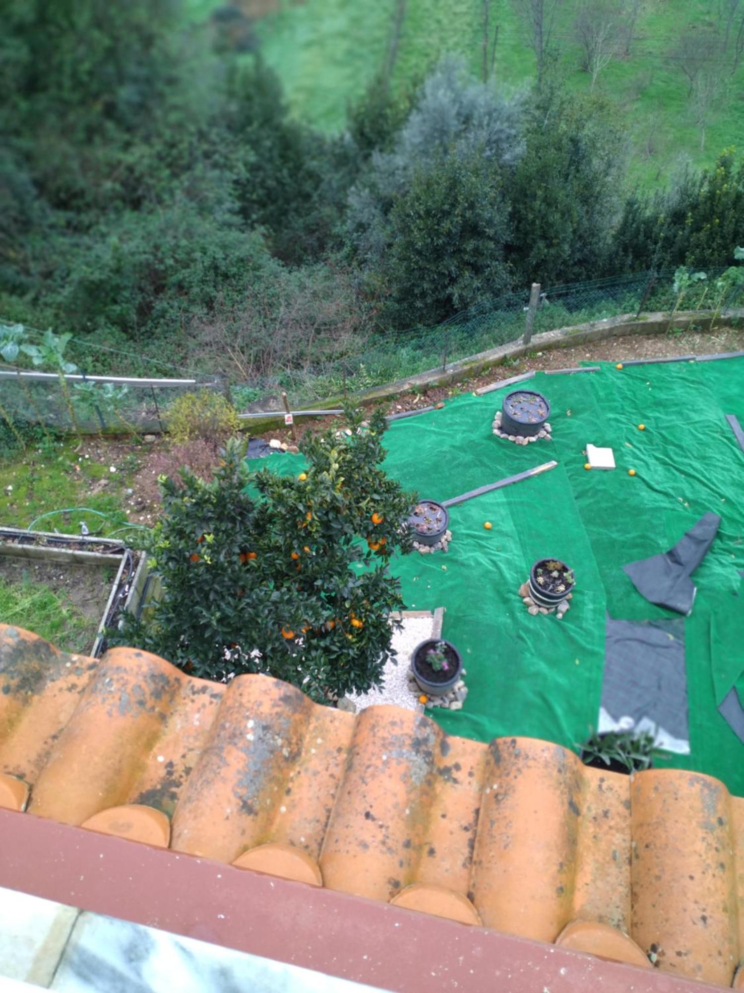 Holiday home Moradia Lili